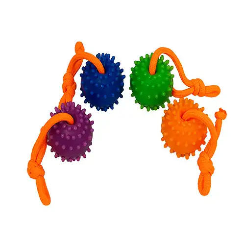 توپ آموزشی بند دار زاریکس